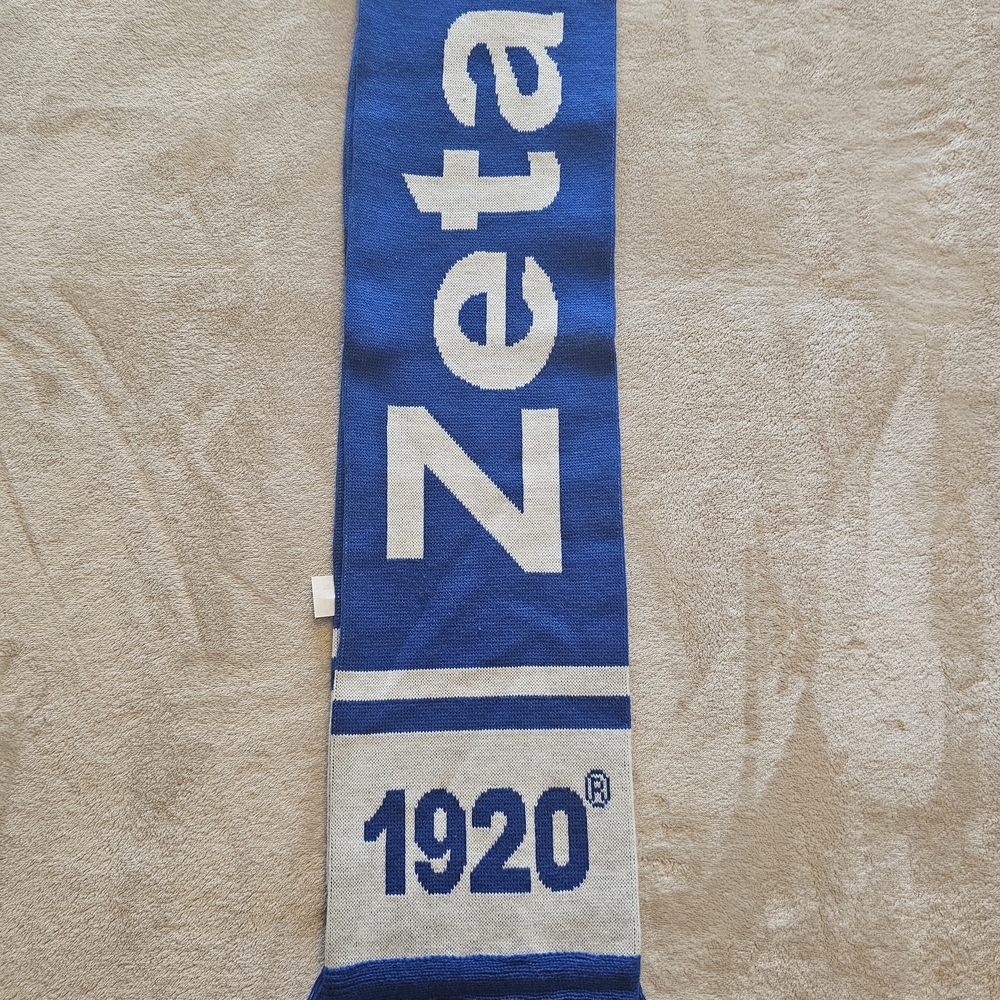 Zeta Phi Beta Scarf View 2